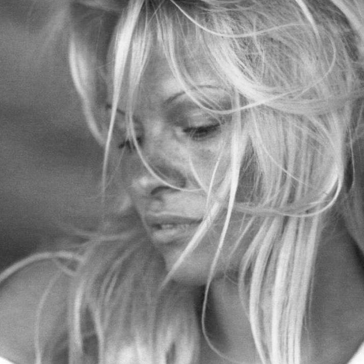 Pamella Anderson Imagem Pamella Anderson