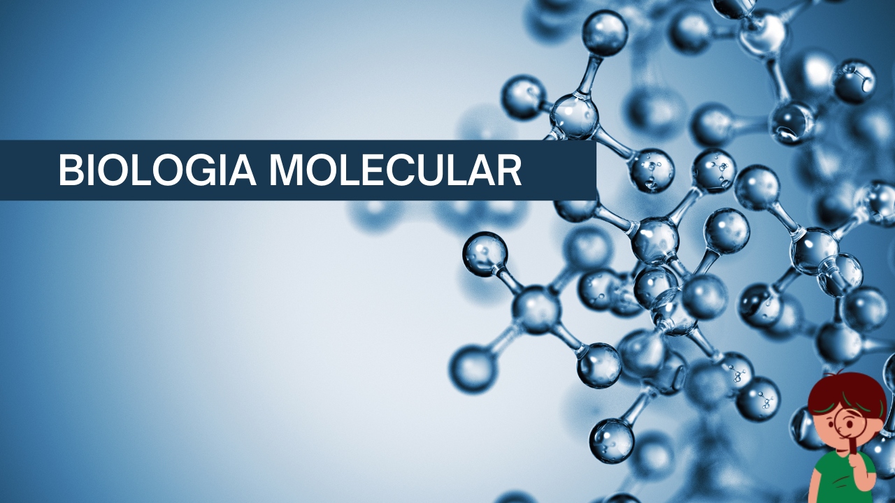 Biologia molecular