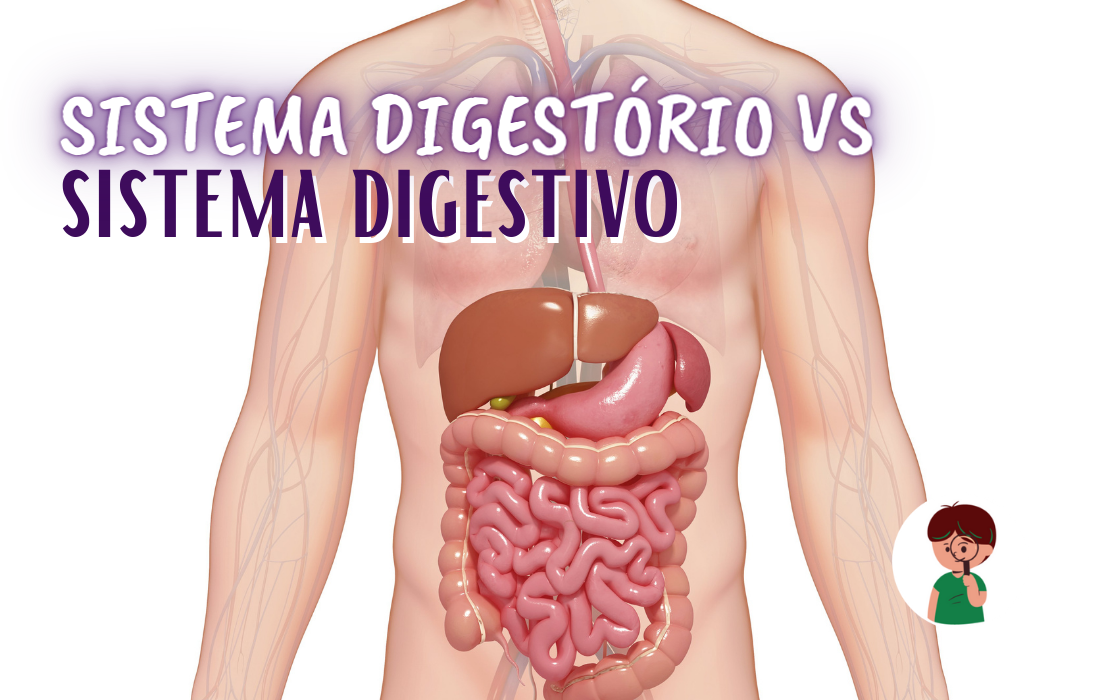 Sistema Digestivo e Sistema Digestório