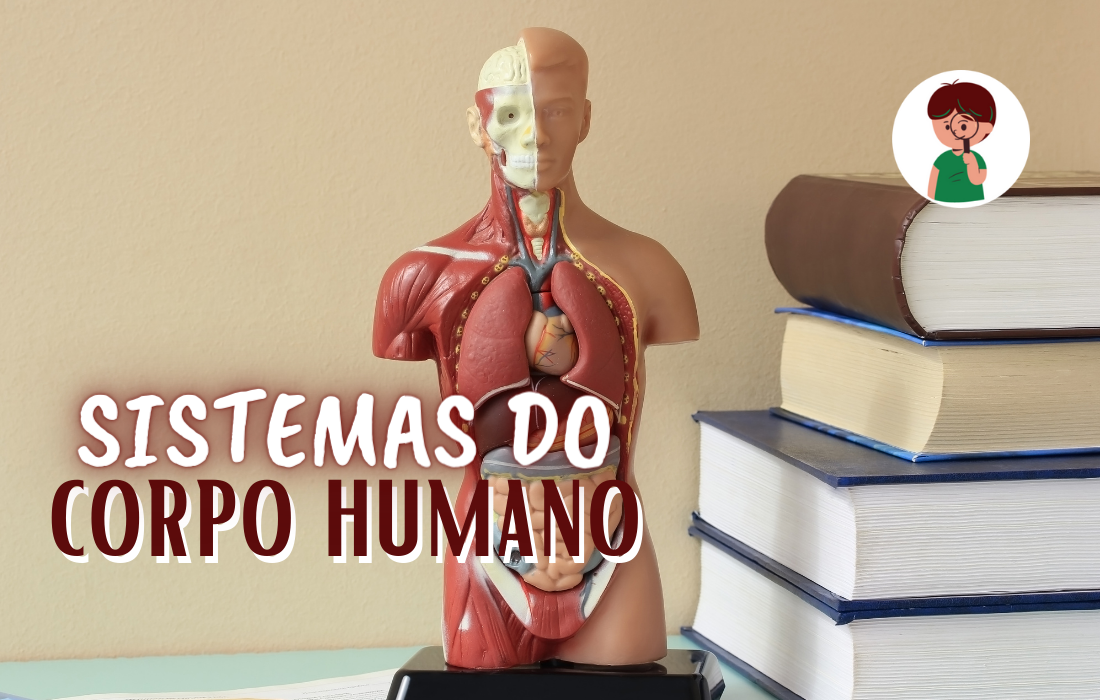 Sistemas do Corpo Humano