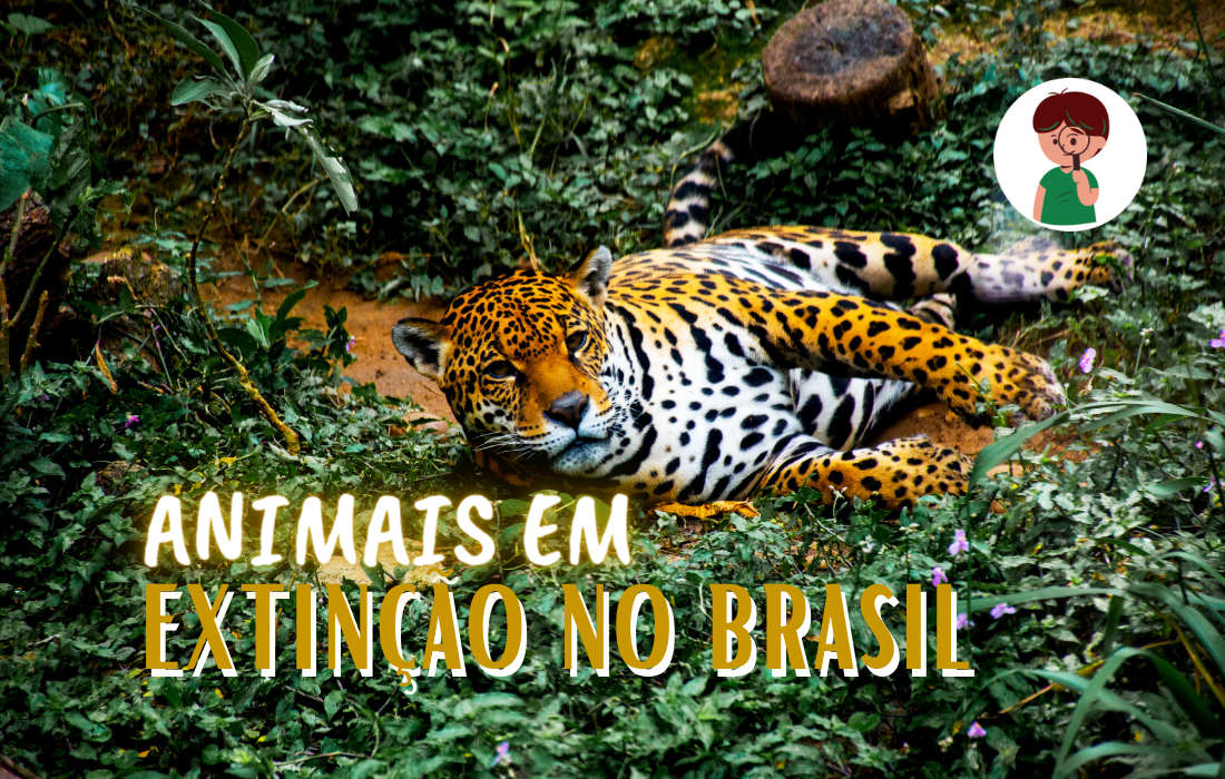 animais em extinção no Brasil