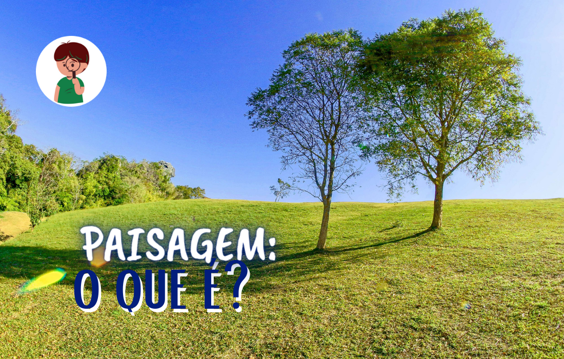paisagem
