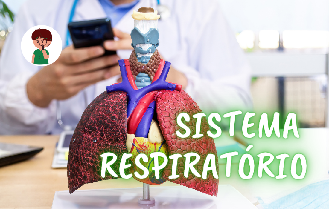 sistema respiratório