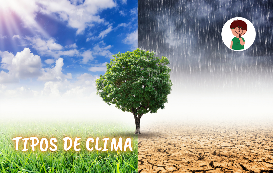 tipos de clima