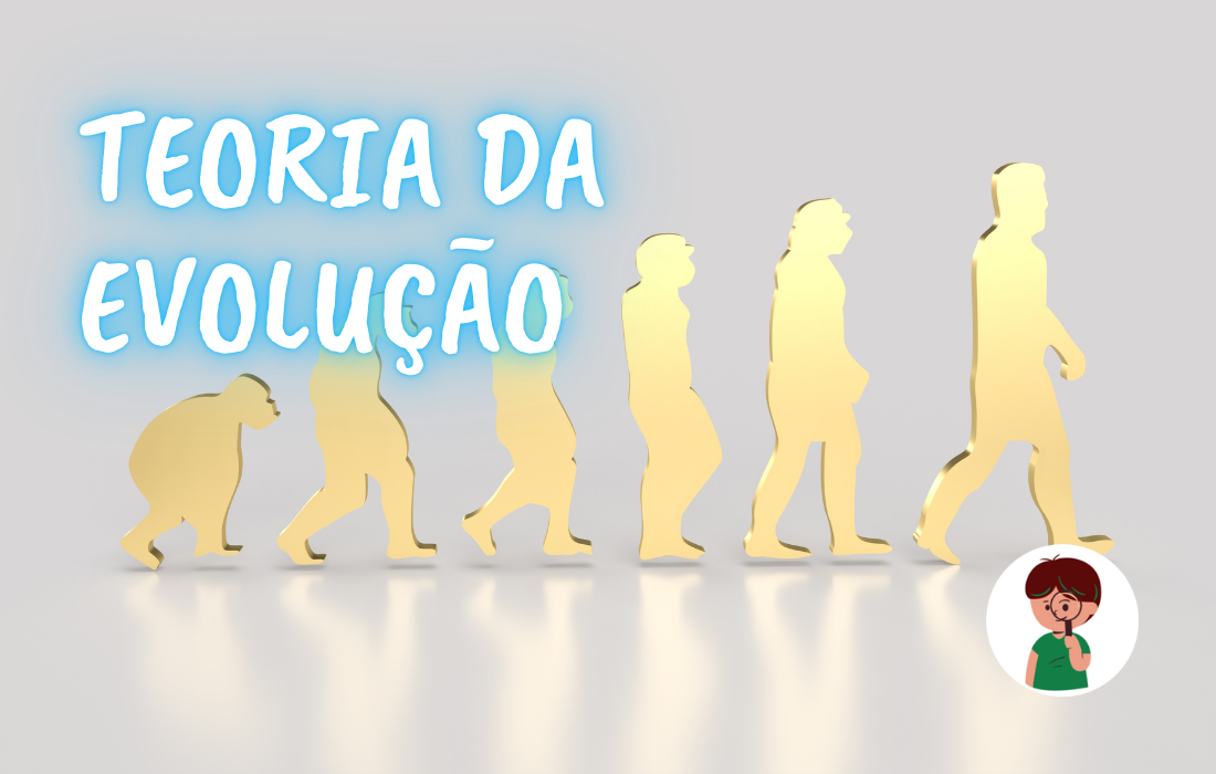 TEORIA DA EVOLUÇÃO