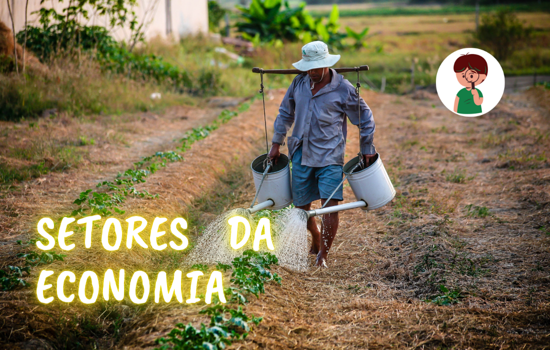 setores da economia